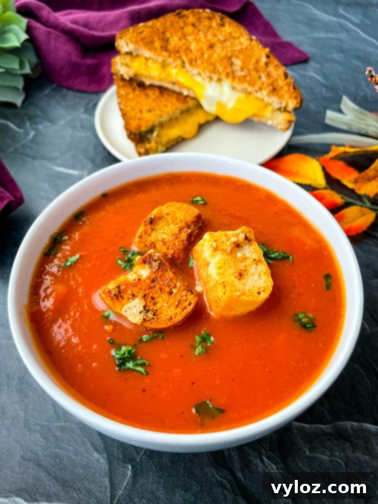 Another perspective of Instant Pot tomato soup in a white bowl
