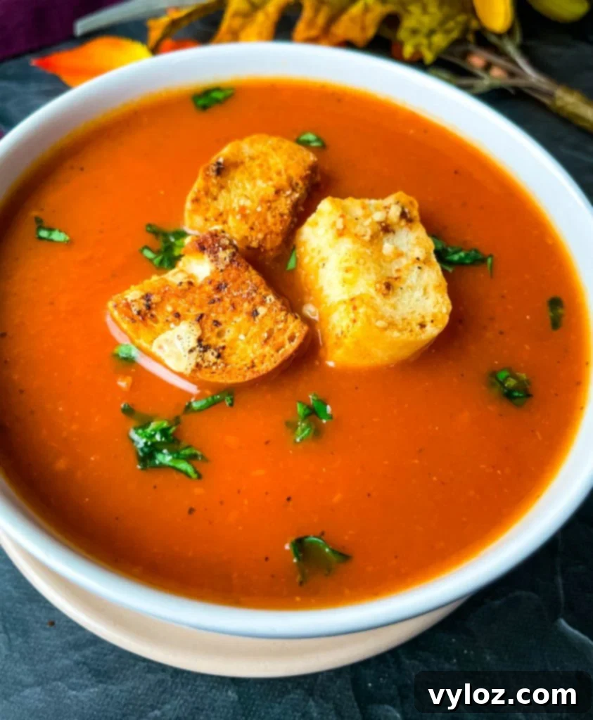 Instant Pot tomato soup in a white bowl with another angle