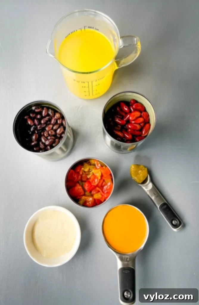 Tangy Buffalo Chicken Chili 3 Separately arranged ingredients for buffalo chicken chili: chicken broth, canned red kidney beans, canned black beans, diced tomatoes, creamy ranch dressing, and tangy buffalo sauce, all ready for assembly.