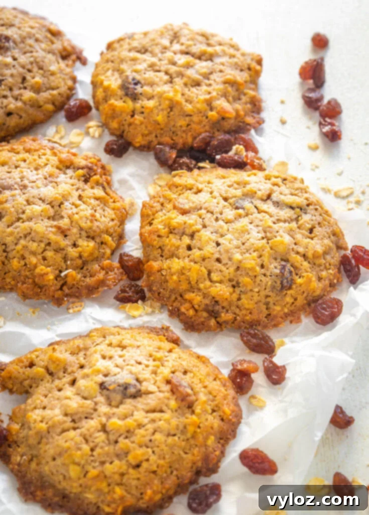 sugar free oatmeal raisin cookies on a flat surface