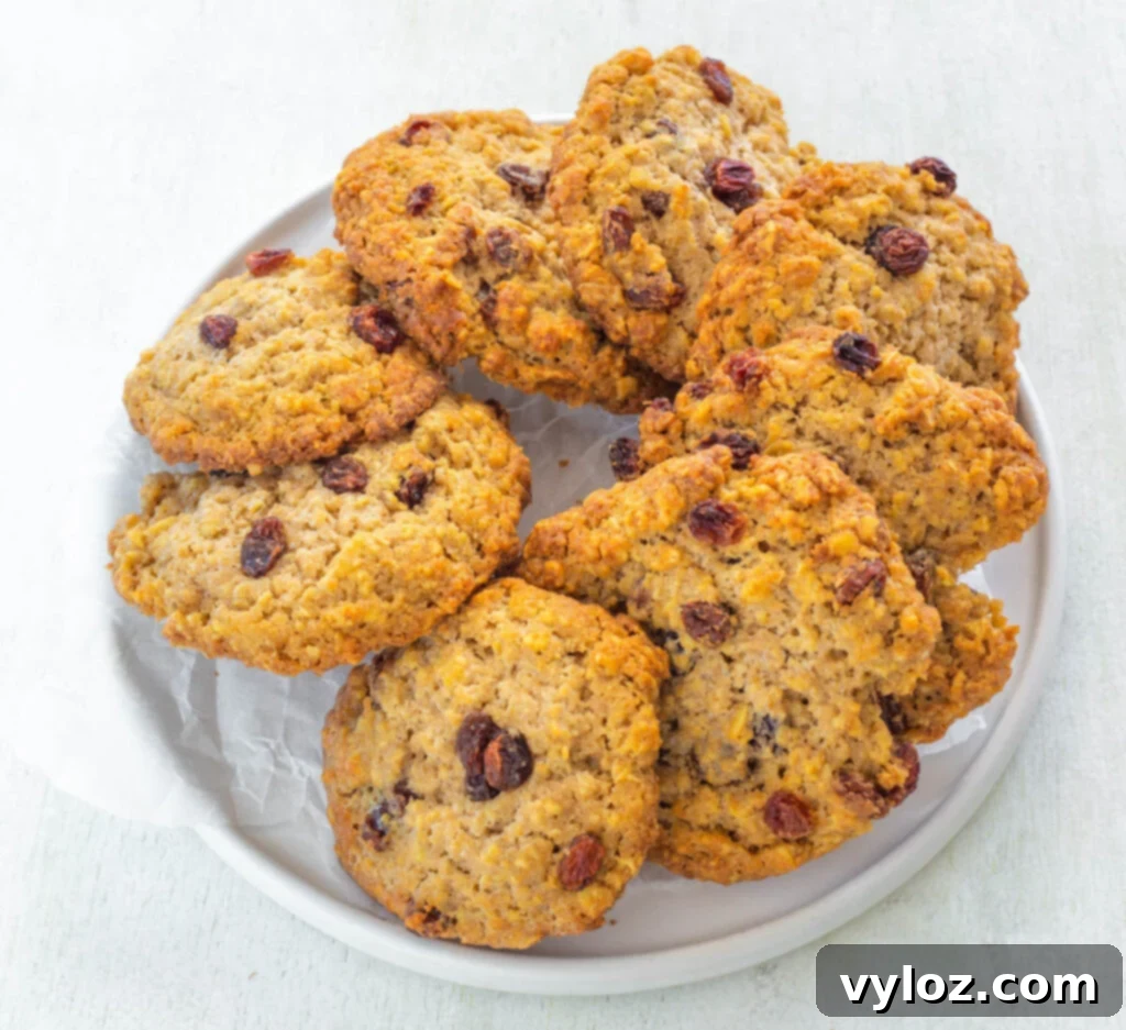 healthy sugar free oatmeal raisin cookie on a white plate