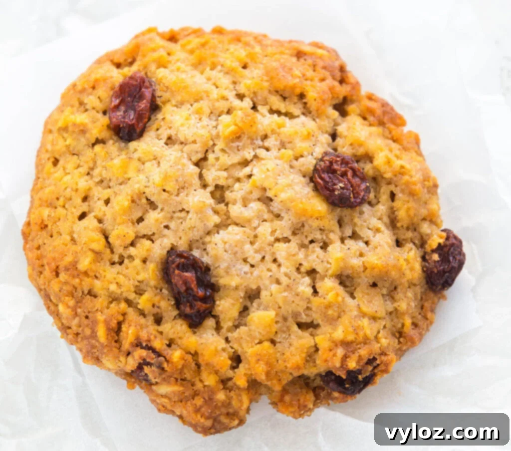 healthy sugar free oatmeal raisin cookie on a white surface