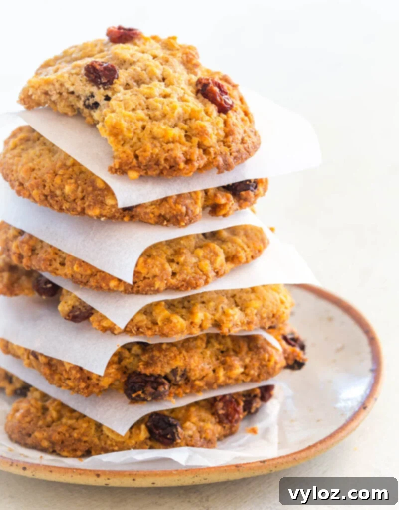 a stack of healthy sugar free oatmeal raisin cookie on a white plate