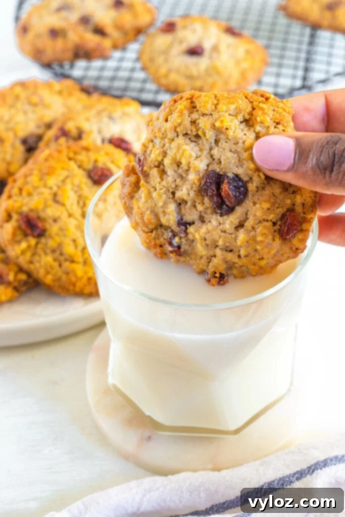 person dipping sugar free oatmeal raisin cookie in milk