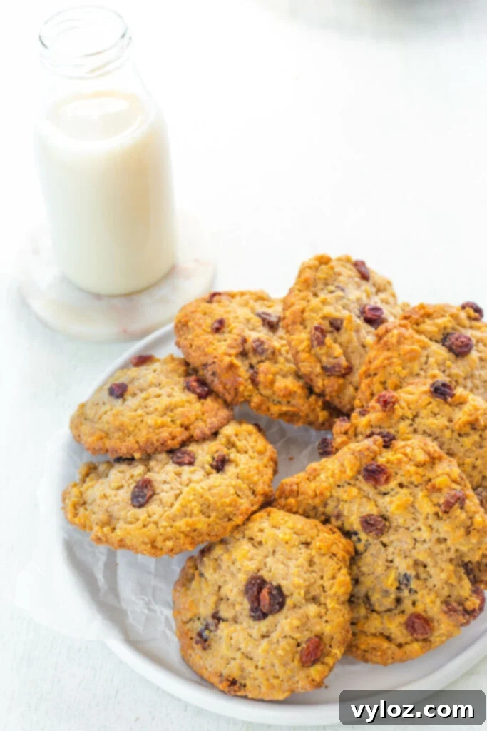 healthy sugar free oatmeal raisin cookie on a white plate with a glass of milk