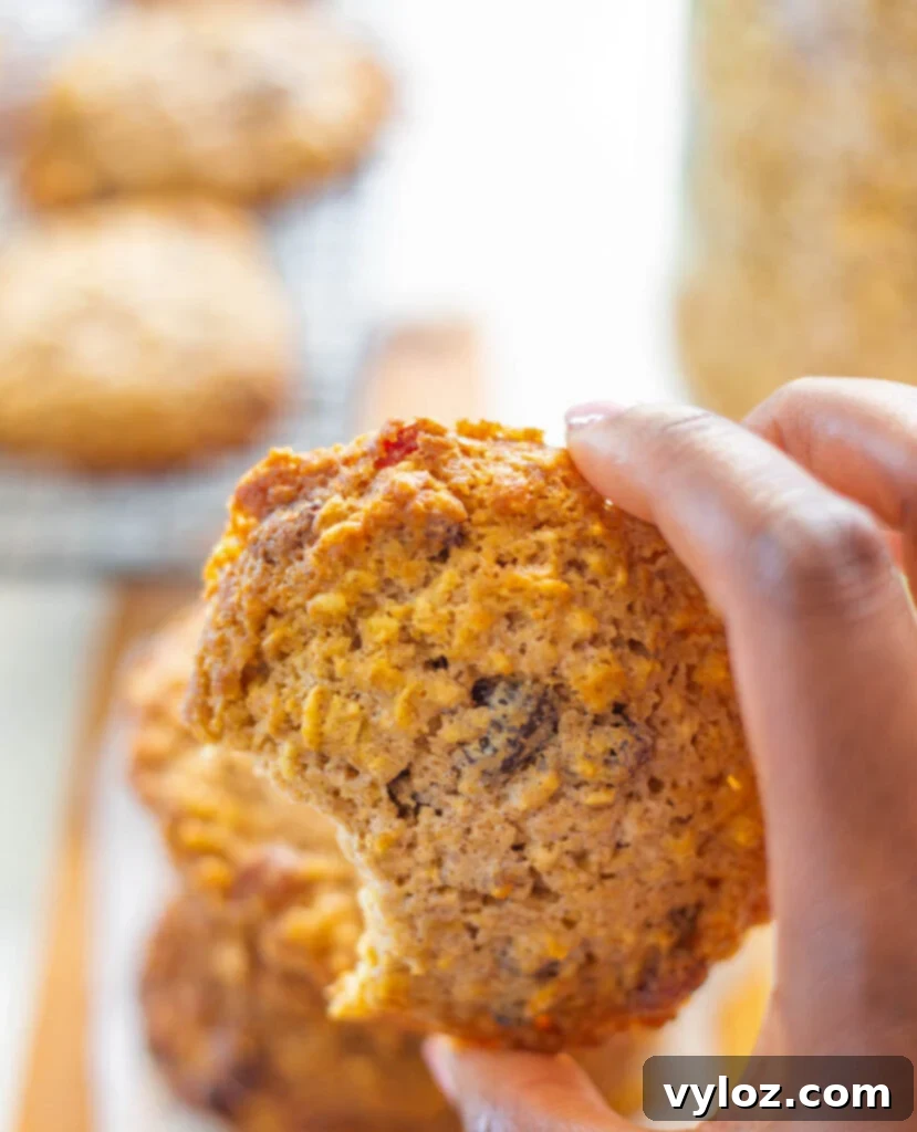 person holding sugar free oatmeal raisin cookie