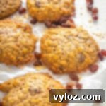 sugar free oatmeal raisin cookies on a flat surface