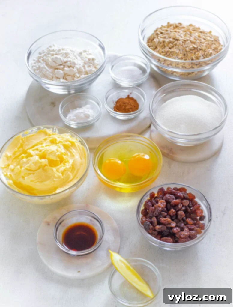 rolled oats, butter, raisins, all purpose flour, lemon, vanilla, and baking soda in s