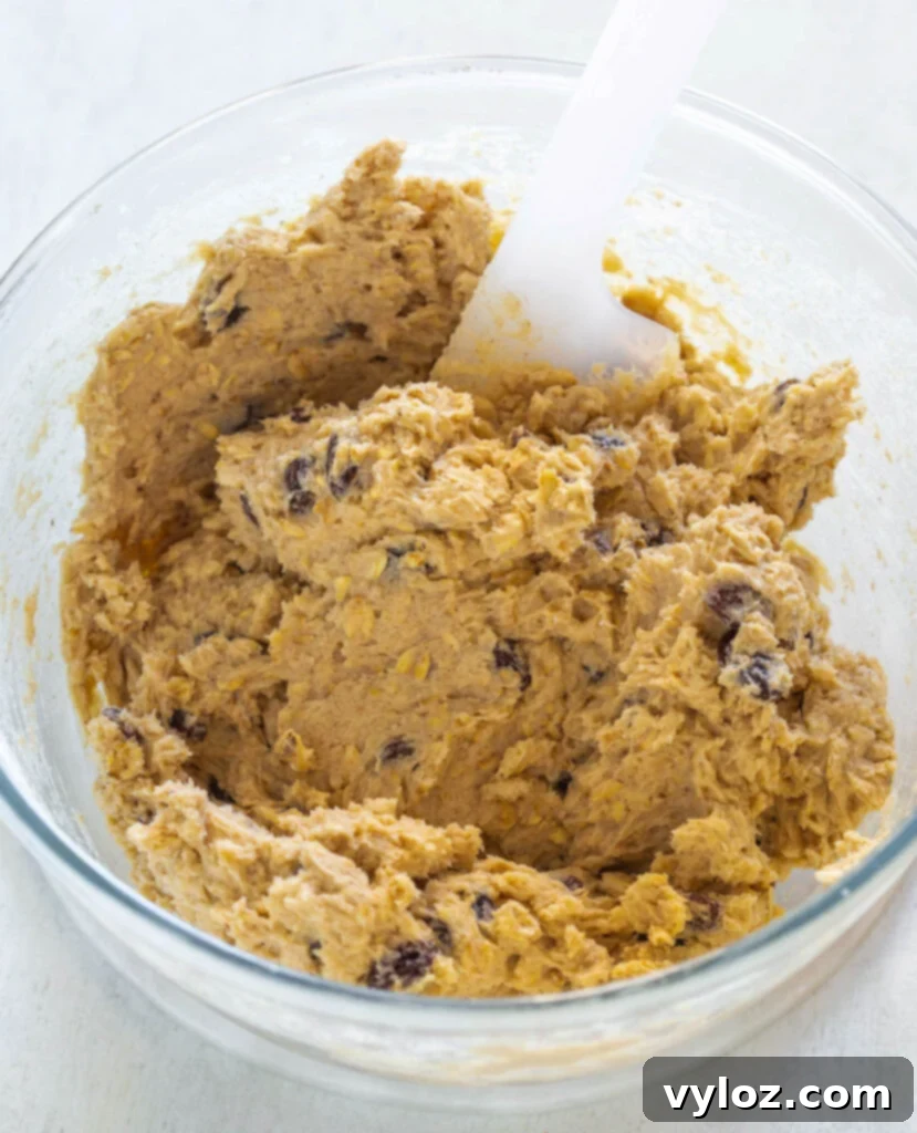 bowl of sugar free oatmeal raisin cookie dough