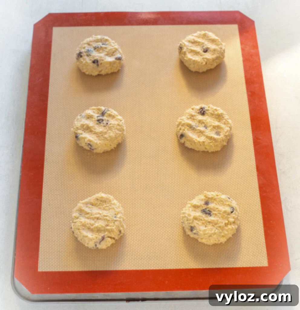 unbaked sugar free oatmeal raisin cookies on a cookie sheet