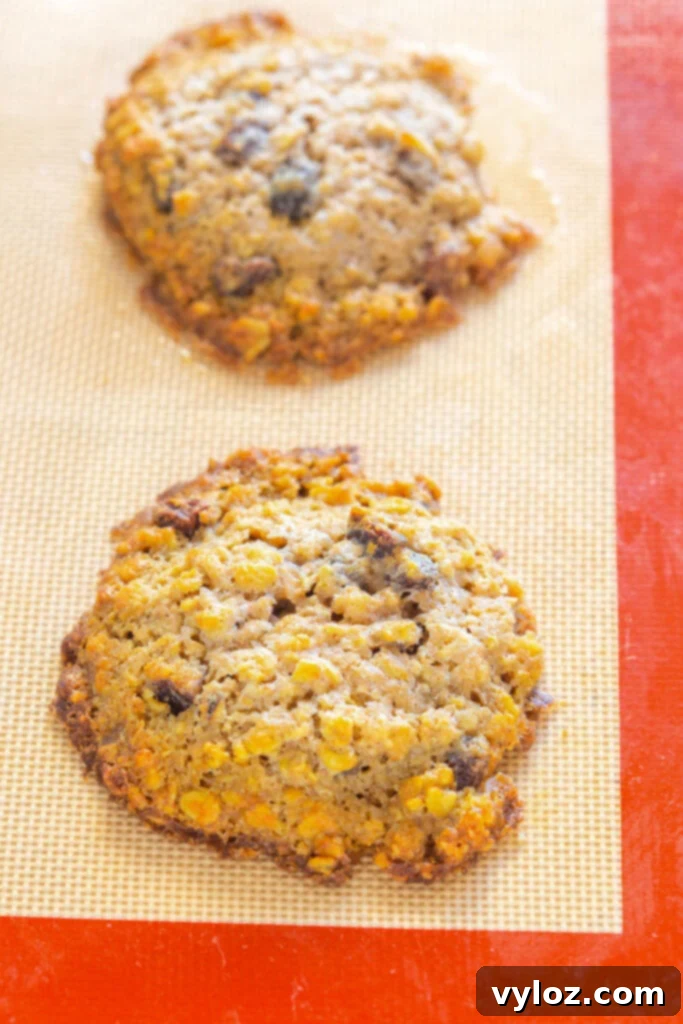 baked sugar free oatmeal raisin cookies on a cookie sheet