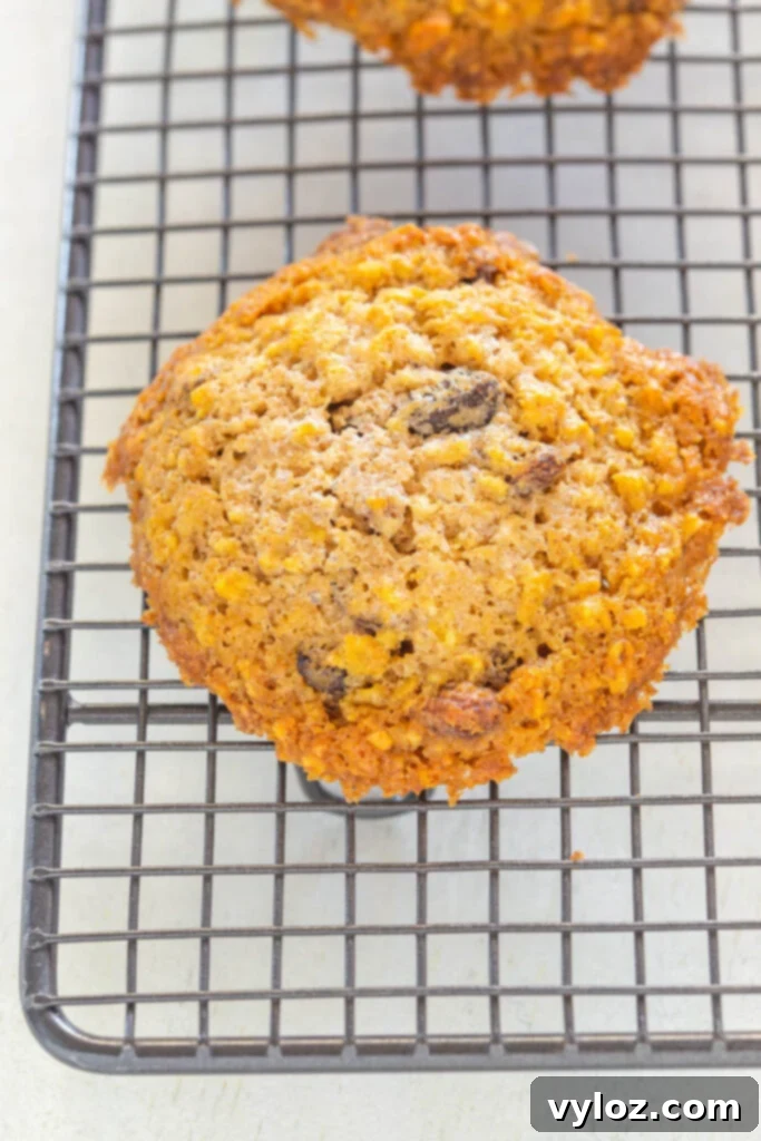 baked sugar free oatmeal raisin cookies on a cooling rack