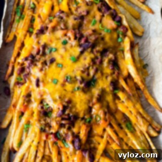 Chili Cheese Fries Recipe