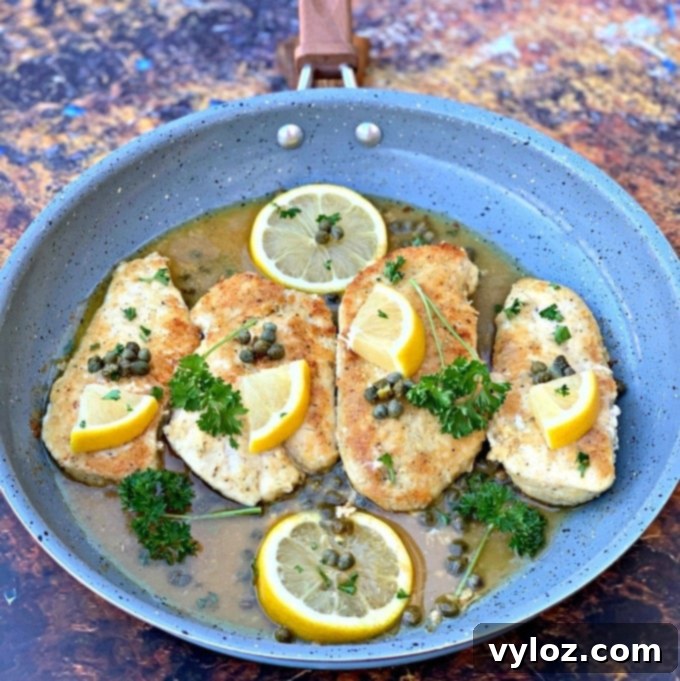 Keto Lemon Chicken Piccata in a skillet, freshly cooked and garnished.