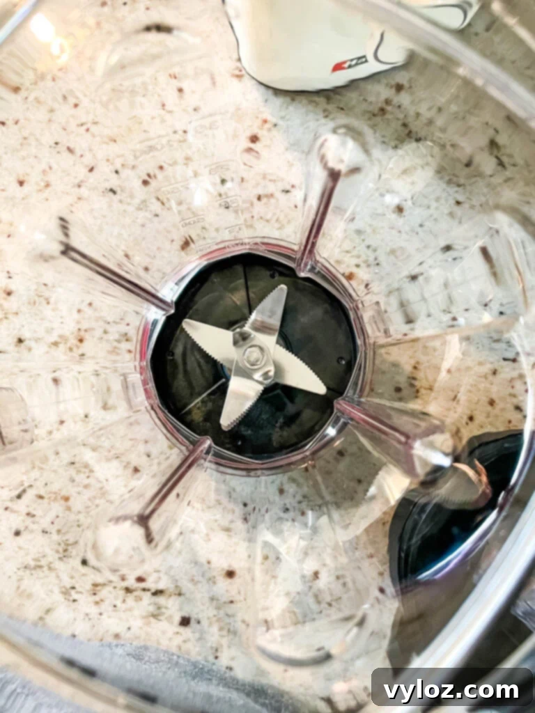 Hauswirt High Speed Blender Is It Any Good 5 Close-up of the Hauswirt blender's 8-blade stainless steel assembly