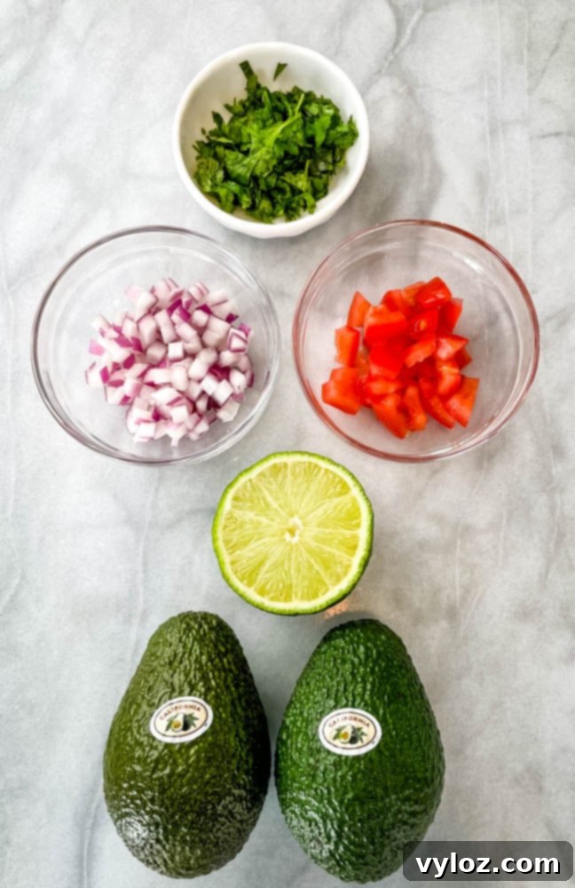 Vibrant Chicken Avocado Salsa 3 ripe avocados, chopped onions, chopped tomatoes, fresh lime, and cilantro in separate bowls
