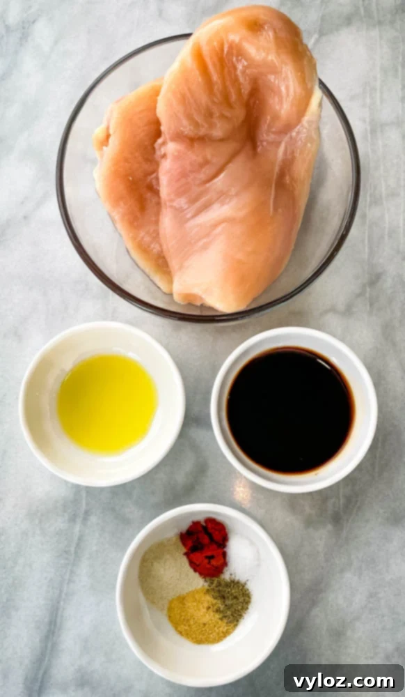 Vibrant Chicken Avocado Salsa 4 raw chicken breasts, olive oil, balsamic vinegar, and seasonings in separate bowls