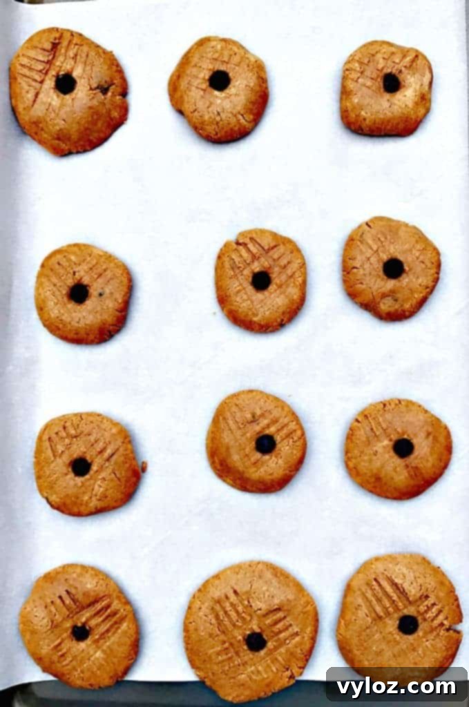 peanut butter dark chocolate chip protein cookies