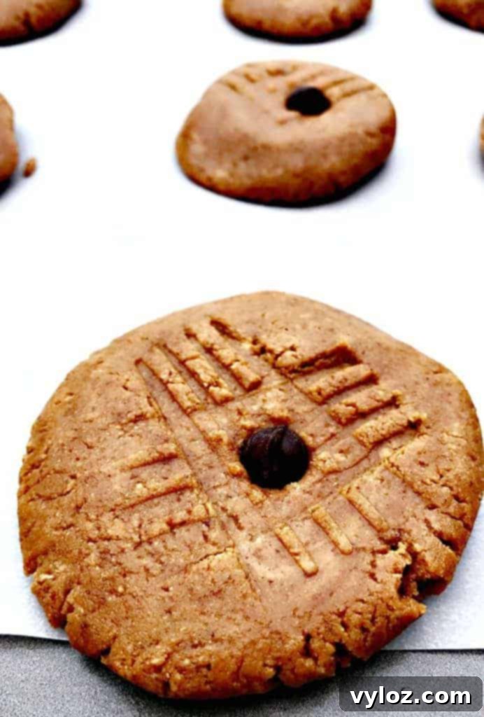 peanut butter dark chocolate chip protein cookies