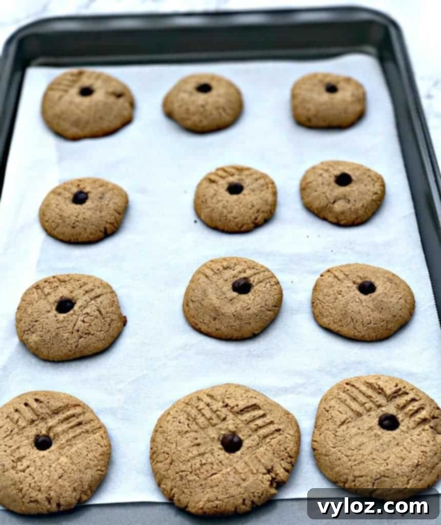 peanut butter dark chocolate chip protein cookies