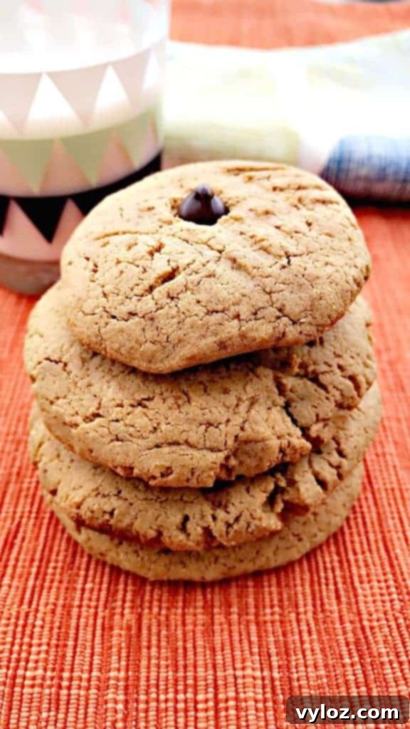 peanut butter dark chocolate chip protein cookies