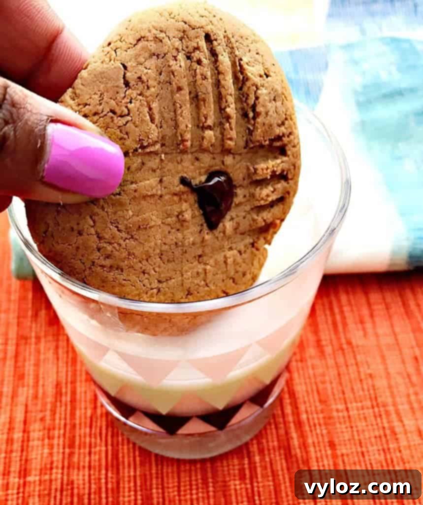 peanut butter dark chocolate chip protein cookies