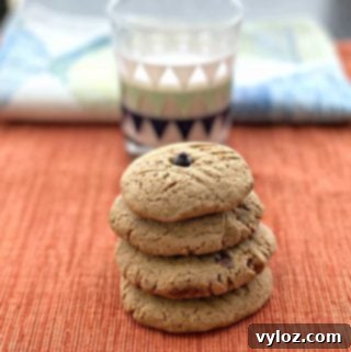 4 peanut butter dark chocolate chip protein cookies stacked in front of glass of milk