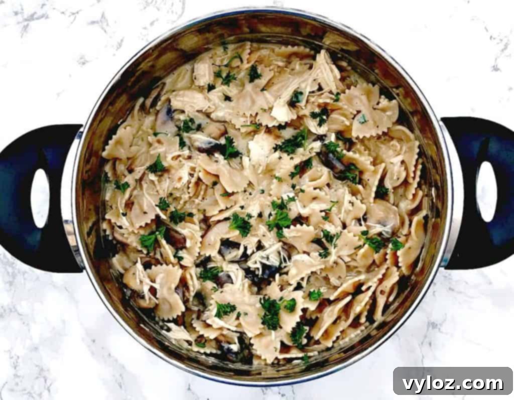 Rich Slow-Cooker Chicken Mushroom Pasta Stroganoff 2 Healthy Slow Cooker Chicken Stroganoff with Whole Wheat