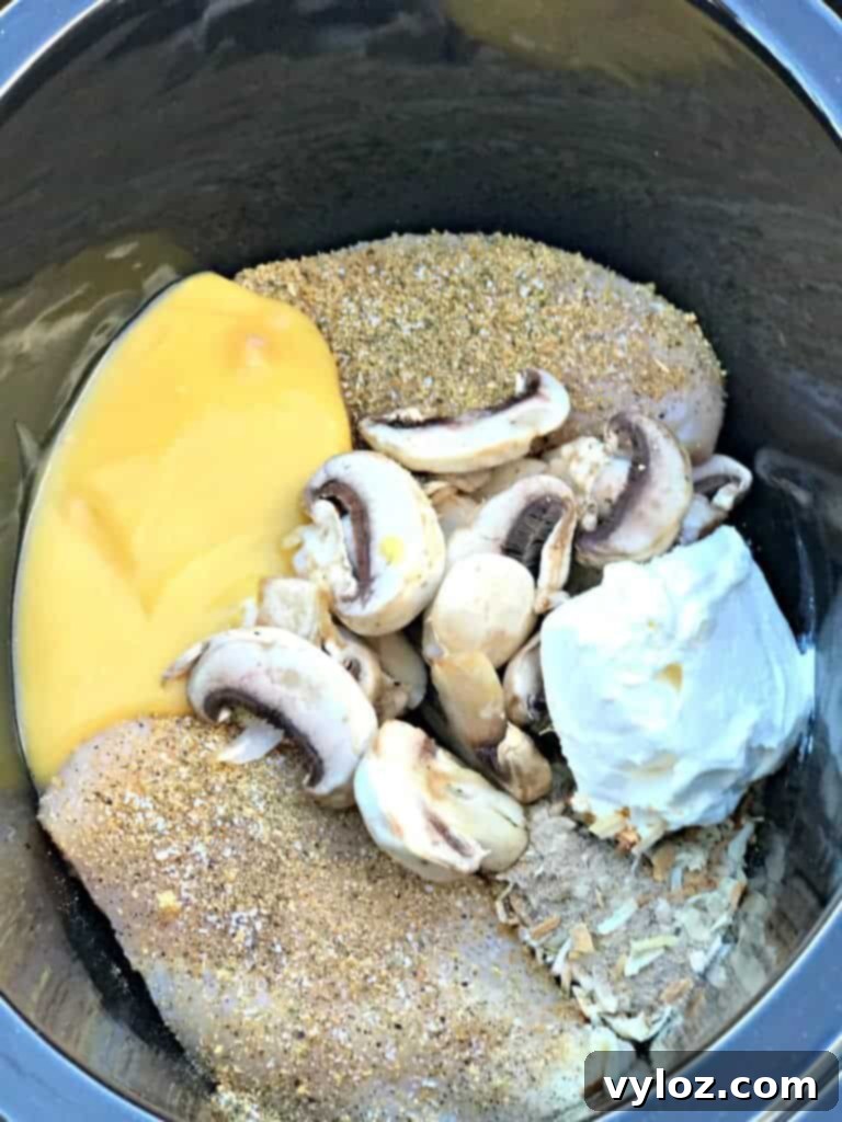 Rich Slow-Cooker Chicken Mushroom Pasta Stroganoff 3 healthy slow cooker chicken stroganoff