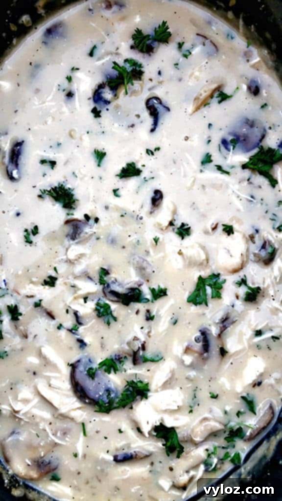 Rich Slow-Cooker Chicken Mushroom Pasta Stroganoff 4 healthy slow cooker chicken stroganoff