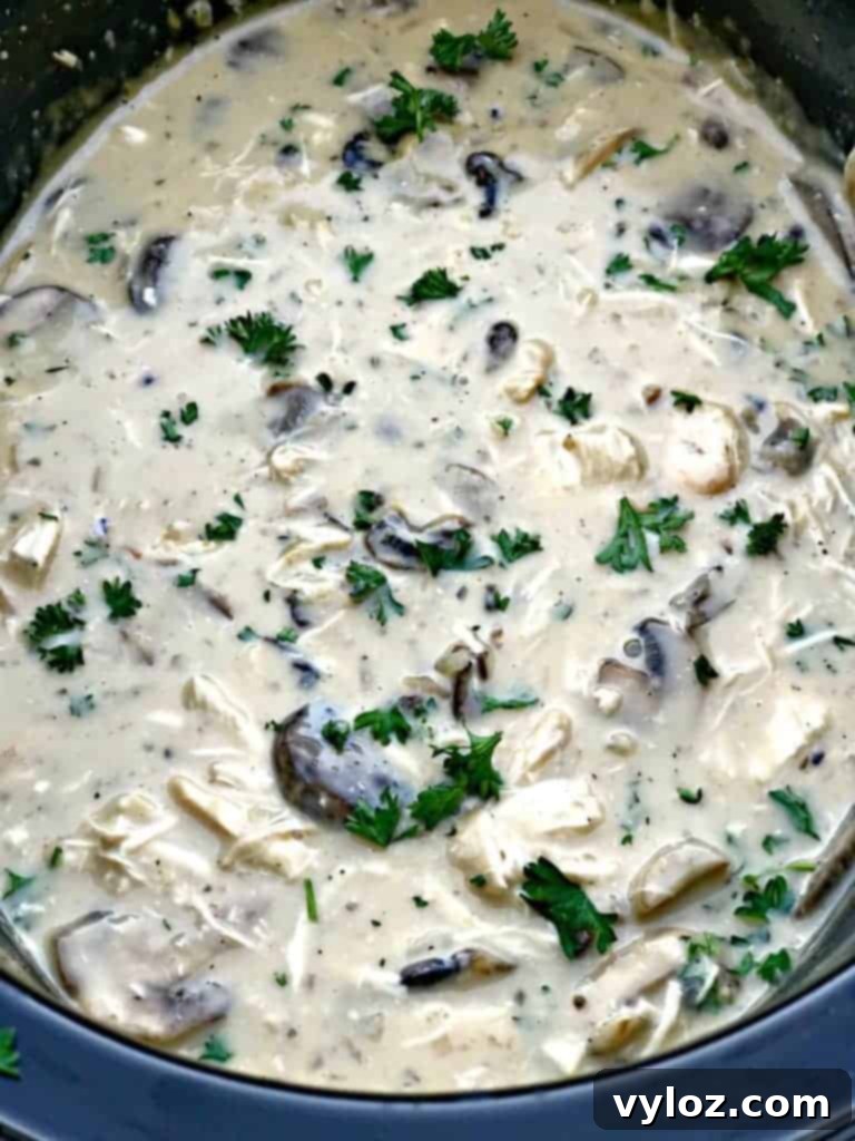 Rich Slow-Cooker Chicken Mushroom Pasta Stroganoff 5 healthy slow cooker chicken stroganoff