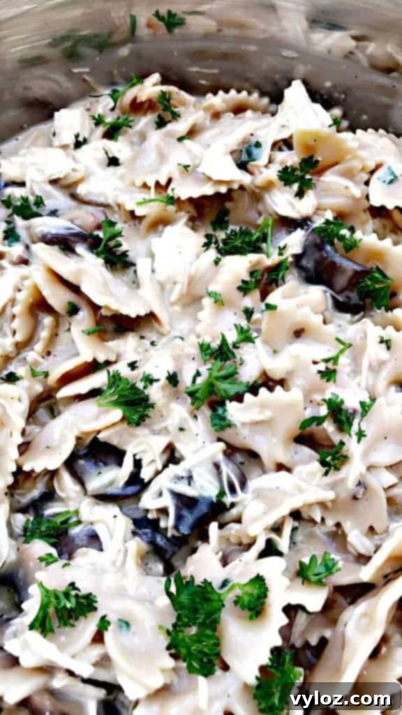 Rich Slow-Cooker Chicken Mushroom Pasta Stroganoff 6 healthy slow cooker chicken stroganoff