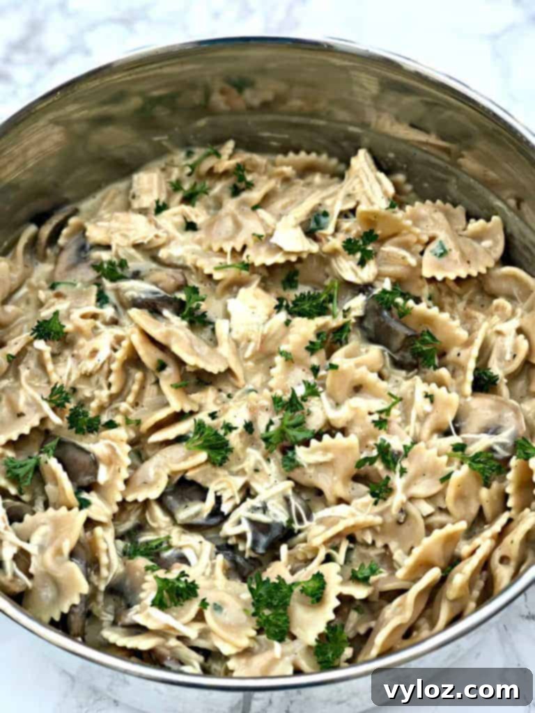 Rich Slow-Cooker Chicken Mushroom Pasta Stroganoff 7 healthy slow cooker chicken stroganoff