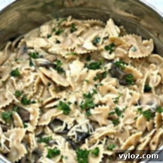 Rich Slow-Cooker Chicken Mushroom Pasta Stroganoff 8 pot of chicken stroganoff
