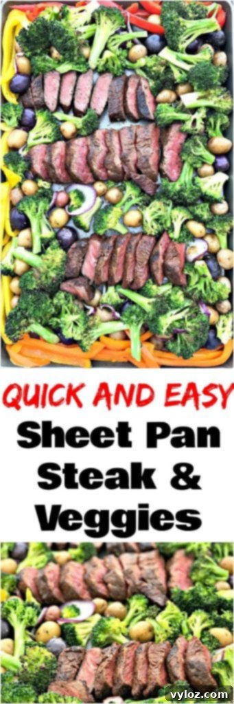 One-Pan Steak and Veggies Meal Prep 11 Plate of healthy sheet pan steak and mixed vegetables