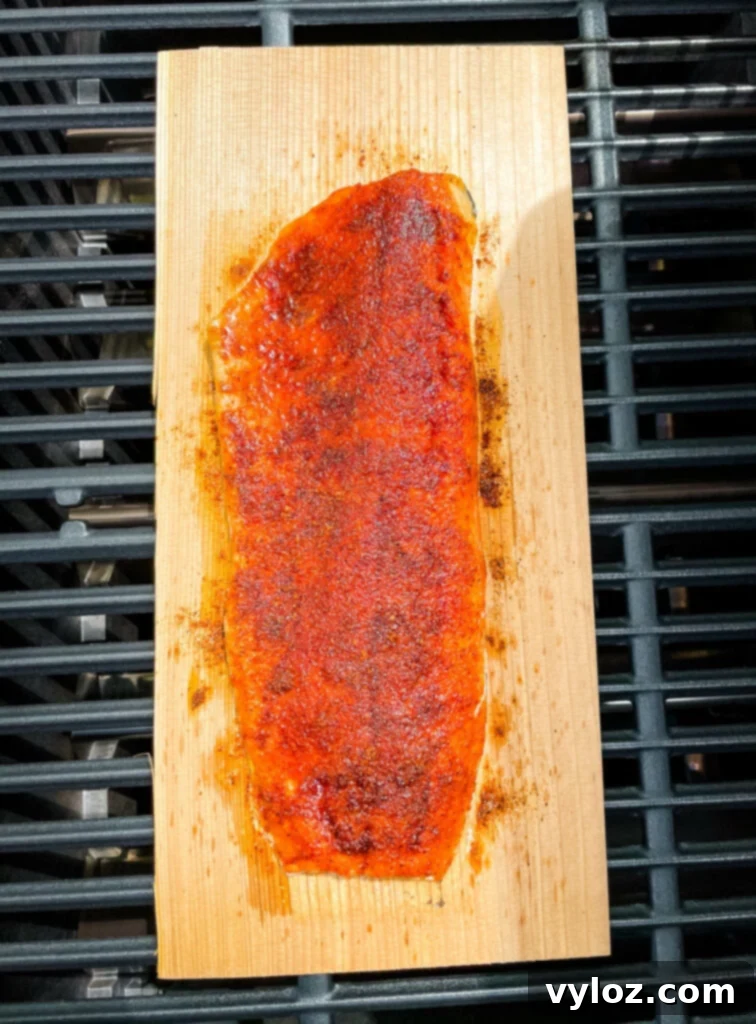 salmon on a cedar plank on a grill