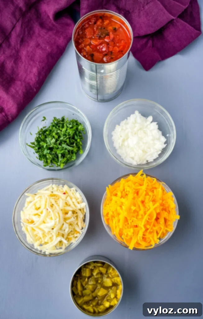 Gooey Queso Burgers 7 Assortment of fresh queso ingredients including fire roasted tomatoes, cilantro, chopped onions, shredded cheese, and green chilies