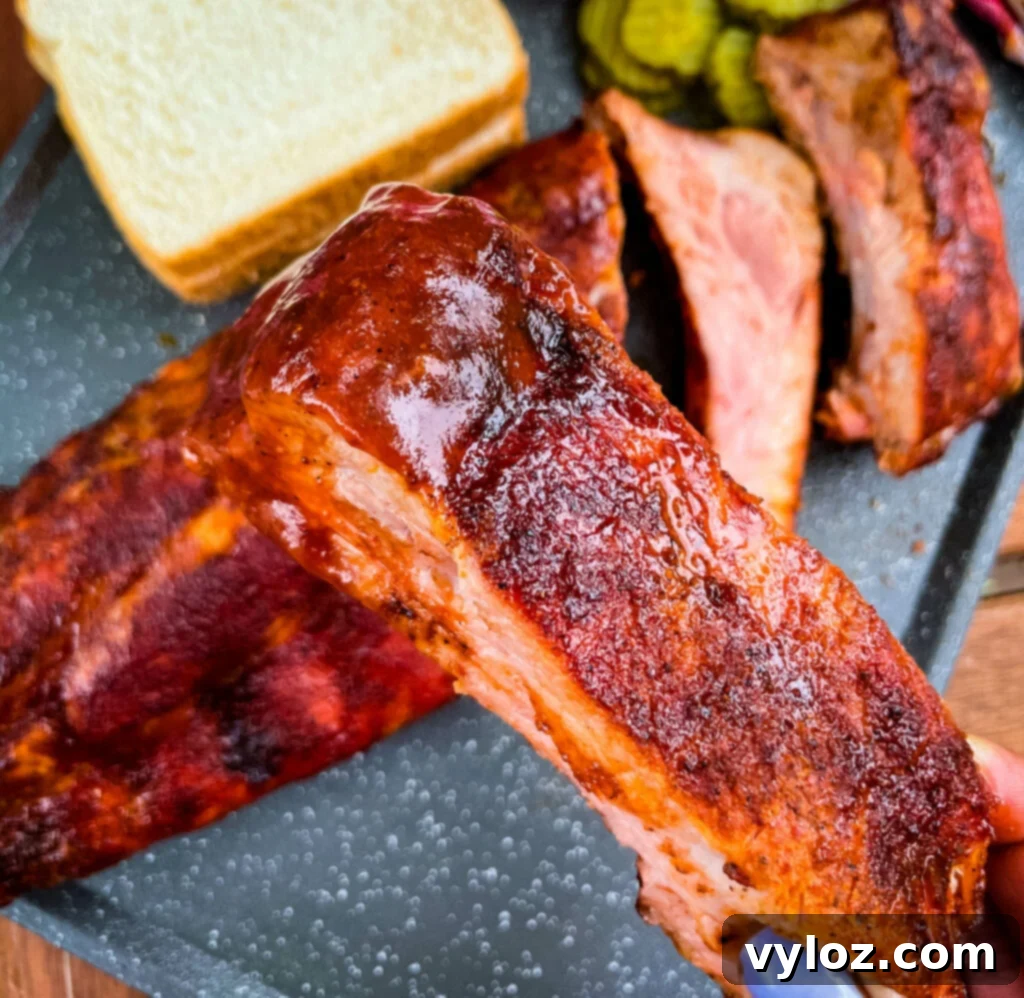 Person holding a delicious grilled baby back rib