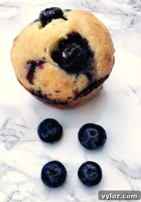 lemon blueberry protein muffins