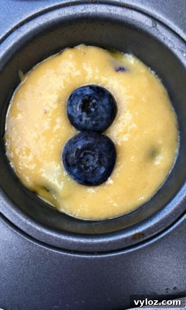 Dairy Free Lemon Blueberry Protein Muffins