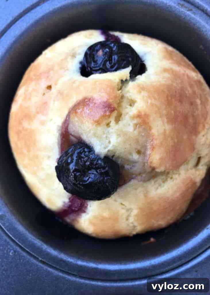 Dairy Free Lemon Blueberry Protein Muffins