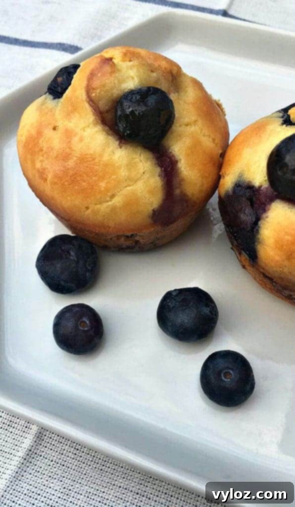 Dairy Free Lemon Blueberry Protein Muffins