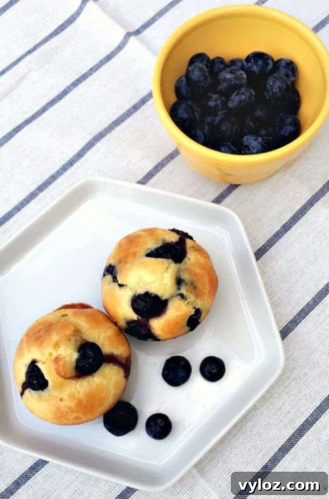 Dairy Free Lemon Blueberry Protein Muffins