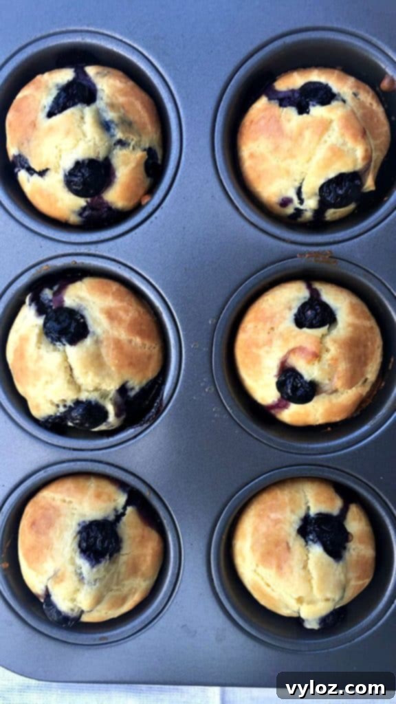 Dairy Free Lemon Blueberry Protein Muffins