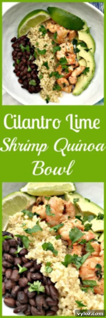 Cilantro Lime Shrimp Quinoa Bowl garnished with fresh lime wedges
