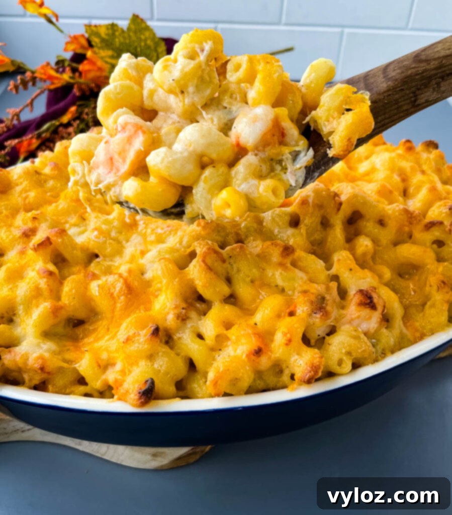 Gourmet Seafood Mac & Cheese 2 A spoonful of creamy baked seafood mac and cheese with crab and shrimp, showing the rich texture and melted cheese.