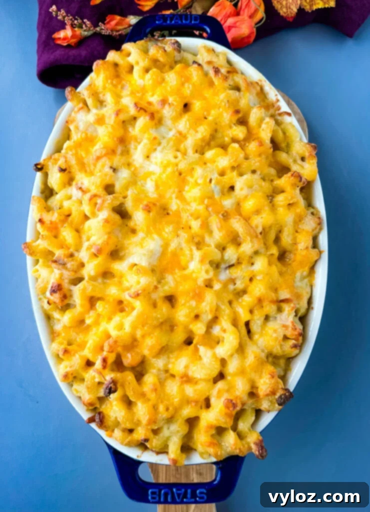 Gourmet Seafood Mac & Cheese 13 A vibrant blue baking dish filled with delicious seafood shrimp and crab mac and cheese, ready to be served.