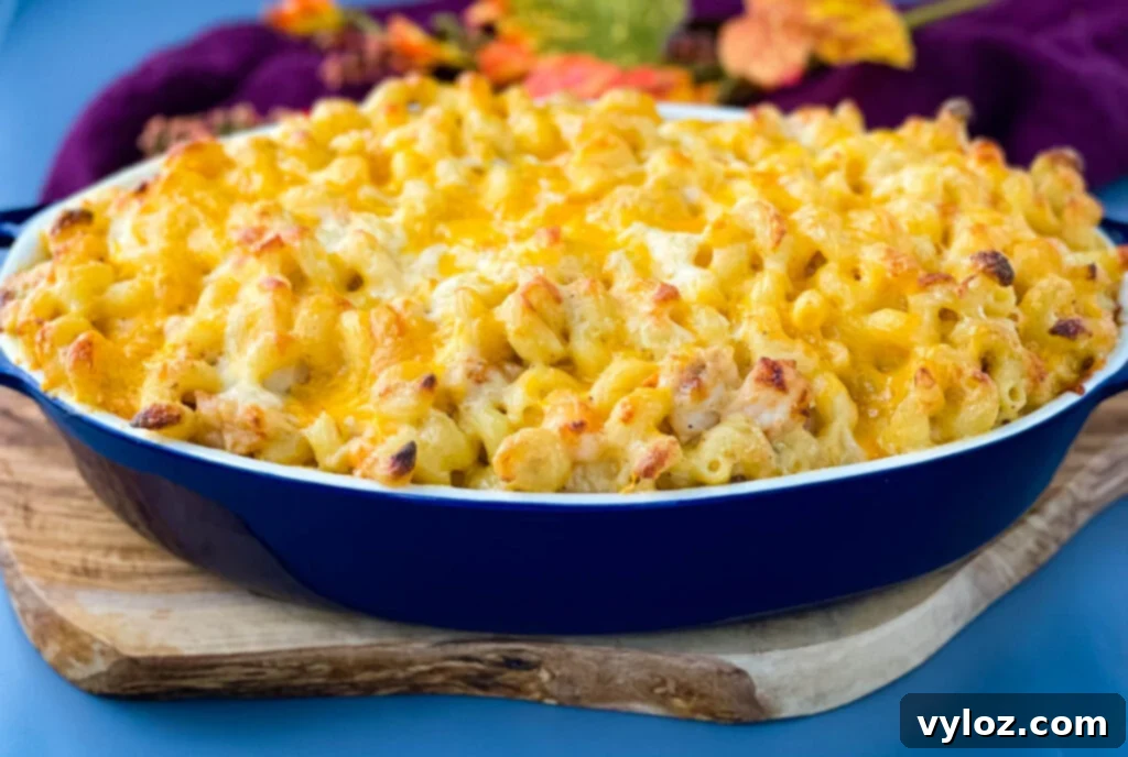 Gourmet Seafood Mac & Cheese 14 A large blue baking dish filled to the brim with creamy, baked seafood mac and cheese, topped with golden-brown cheese.