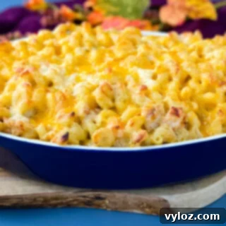 Gourmet Seafood Mac & Cheese 15 A small image of creamy baked seafood mac and cheese in a blue baking dish, representing the recipe.