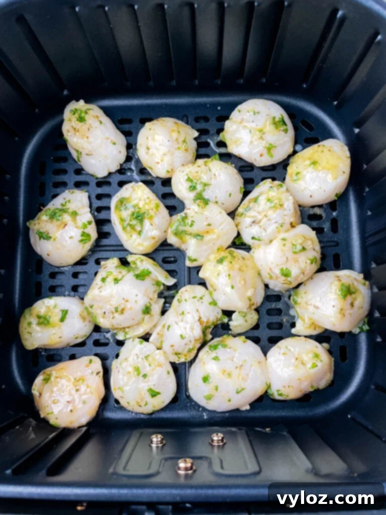 raw scallops in an air fryer